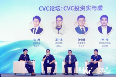 ​CVC论坛：CVC投资实与虚